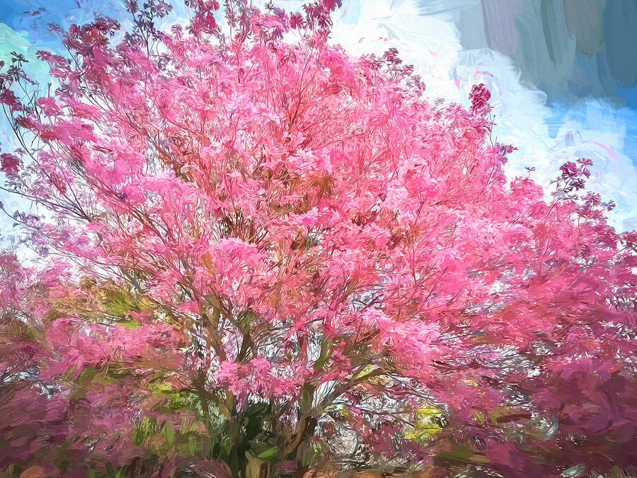 Pink Trumpet Tree Tabebuia Heterophylla X100 Photograph by Rich Franco