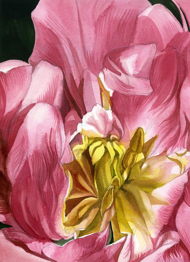 Pink Tulip Close Up Painting by Alfred Ng