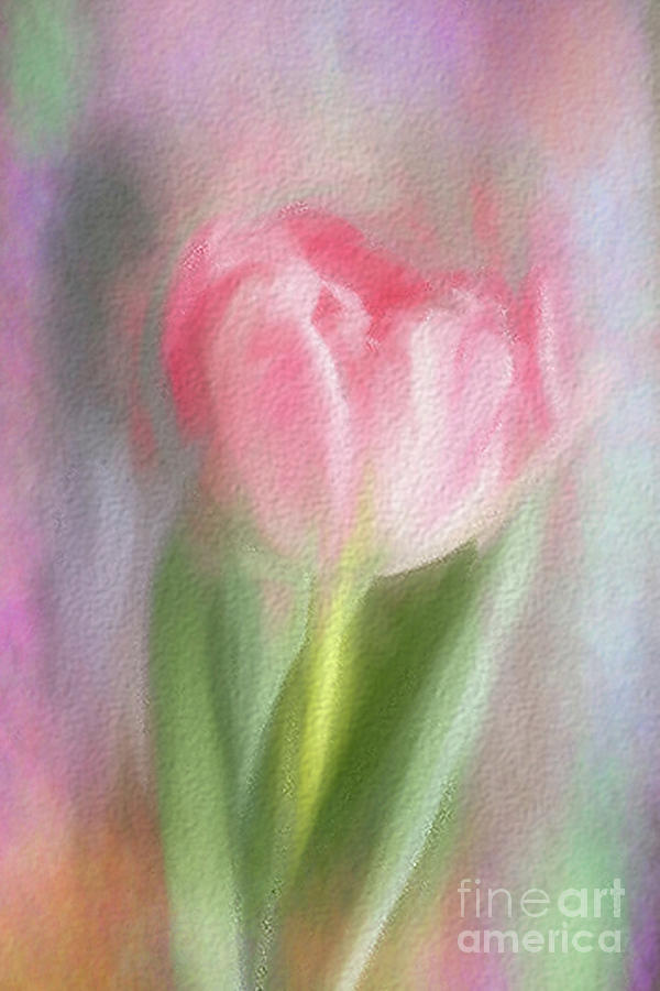 Pink Tulip with Effects Photograph by Lynn Bolt