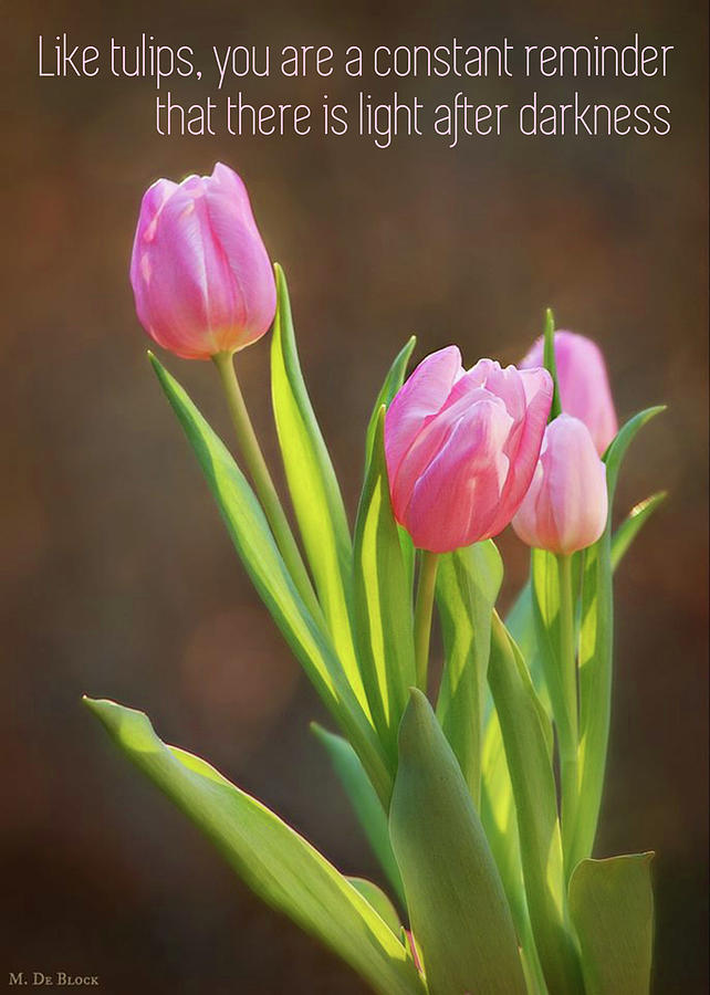 Pink Tulips with Quote Greeting Card Photograph by Marilyn DeBlock