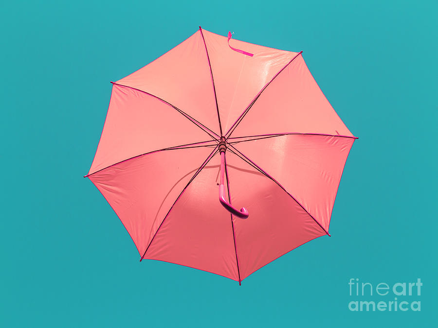Pink Umbrella Photograph