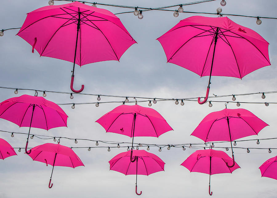 Pink Umbrellas Photograph by Robert Wilder Jr