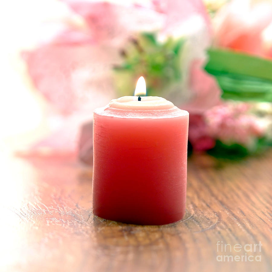 Pink Votive Candle and Flowers with White Space  Photograph by Olivier Le Queinec