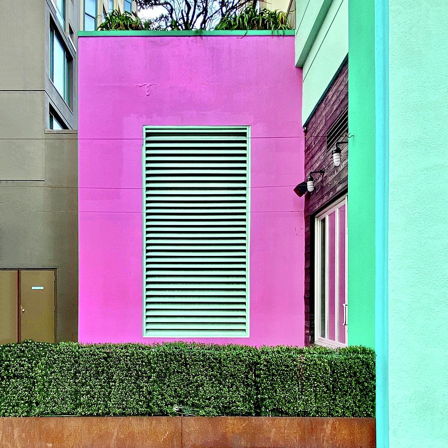 Pink Wall Photograph by Julie Gebhardt