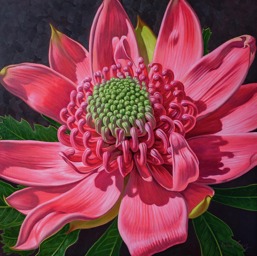 waratah painting