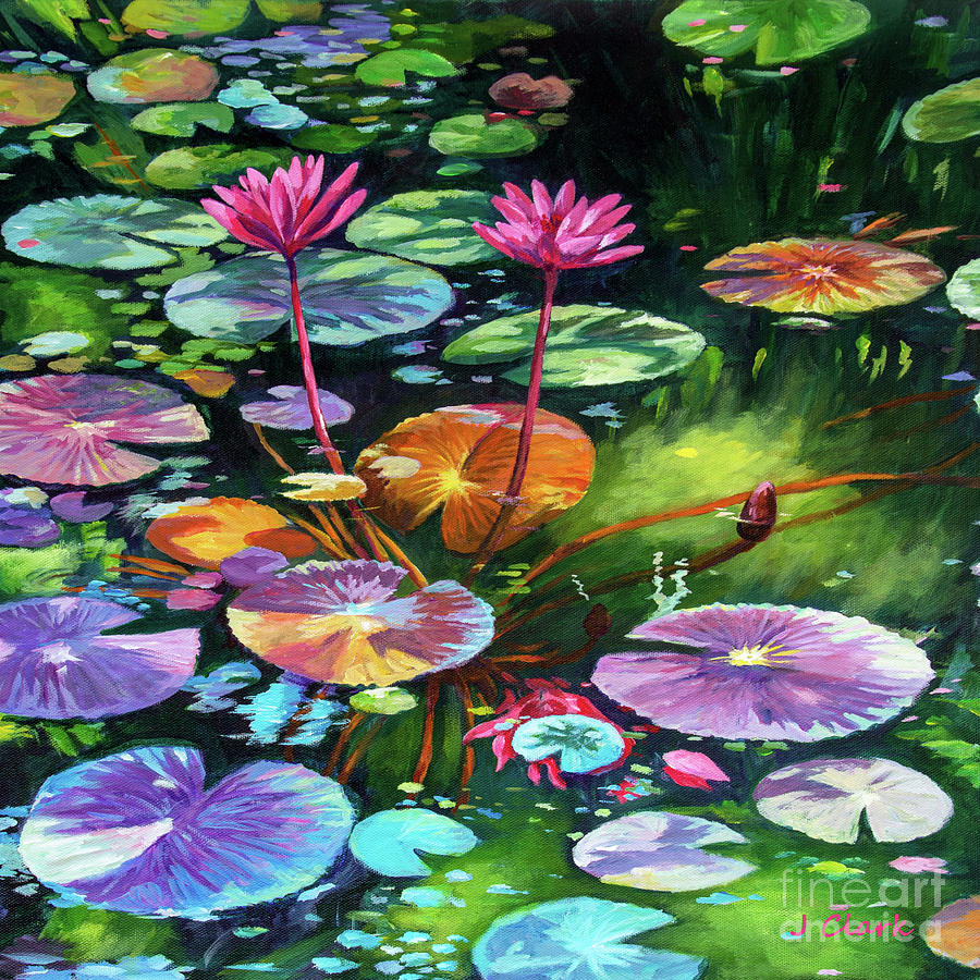 Flower Painting - Pink Water Lilies Square by John Clark