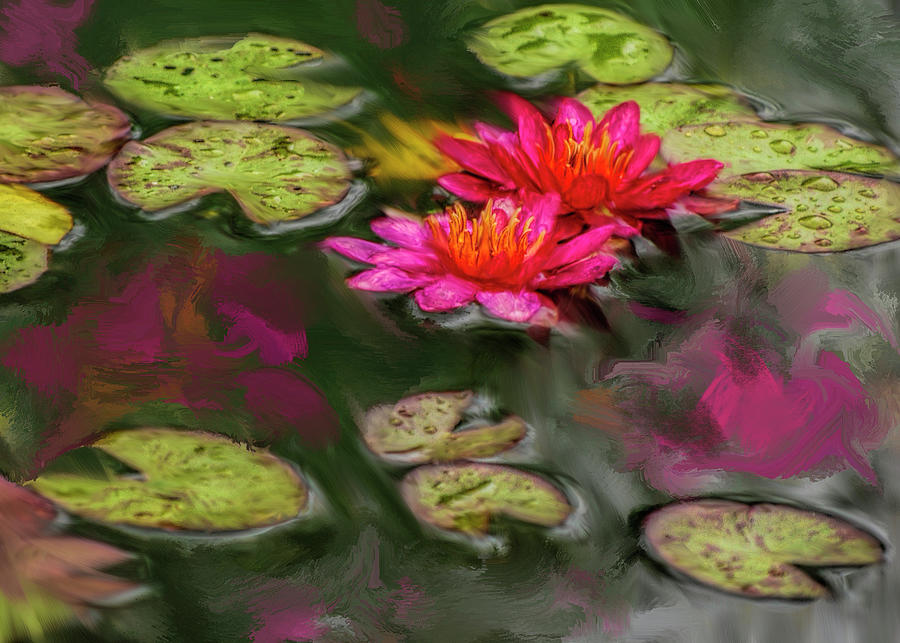 Pink Water Lily Flowers - Digital Painting Photograph by Cordia Murphy