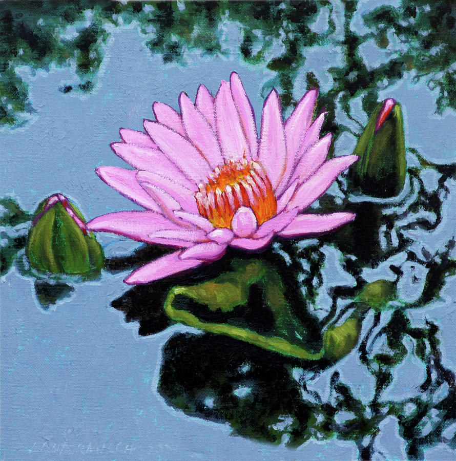 Pink Water Lily Painting by John Lautermilch