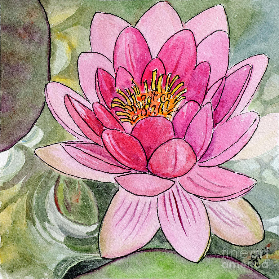 Pink Water Lily Painting by Linda Althoff - Fine Art America