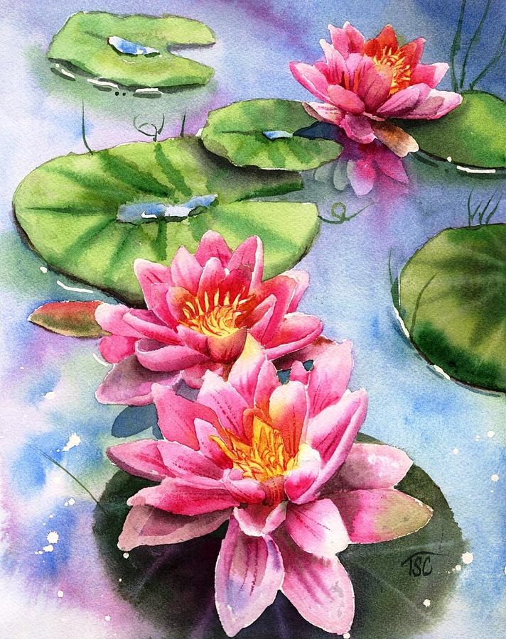 Pink Water Lily Painting by Tammy Crawford