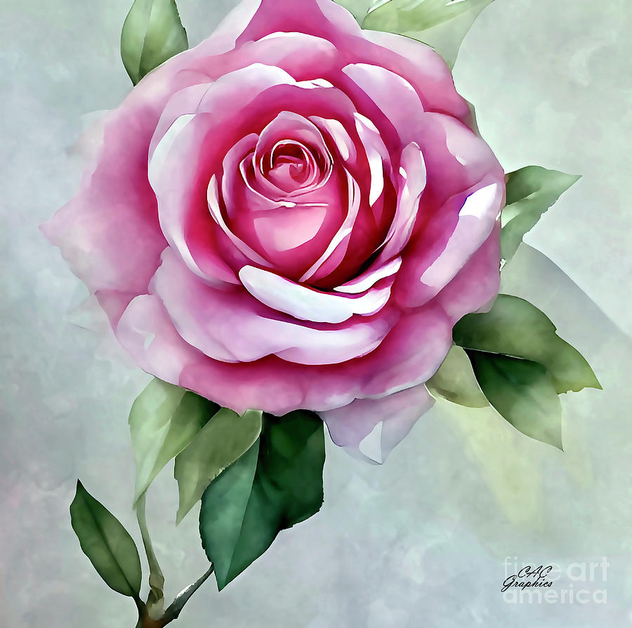 Pink Watercolor Rose Painting by CAC Graphics