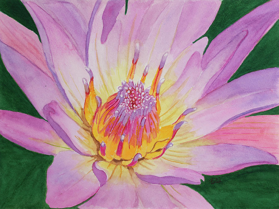 Pink Waterlily Painting by Bibi Gromling - Fine Art America