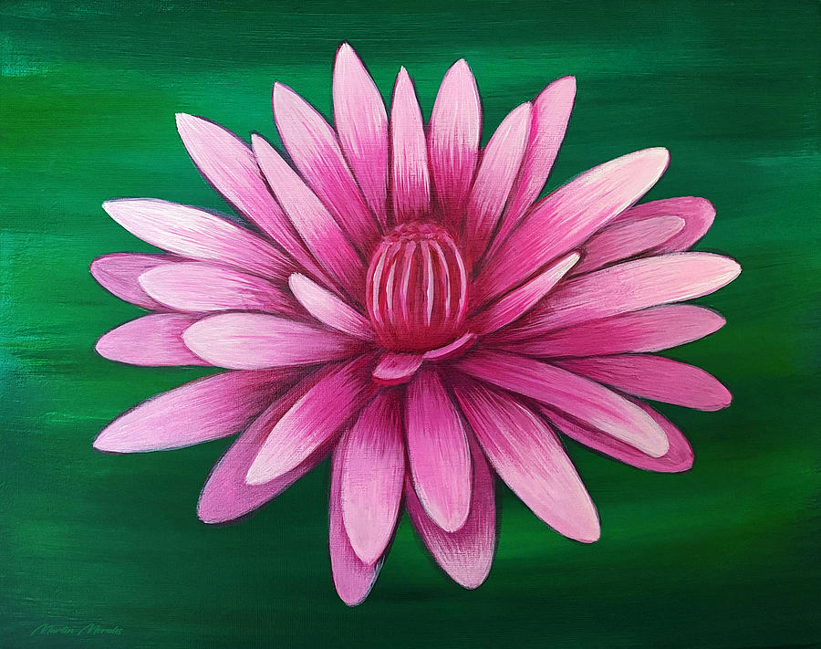 Pink Waterlily Flower Painting by Martys Royal Art