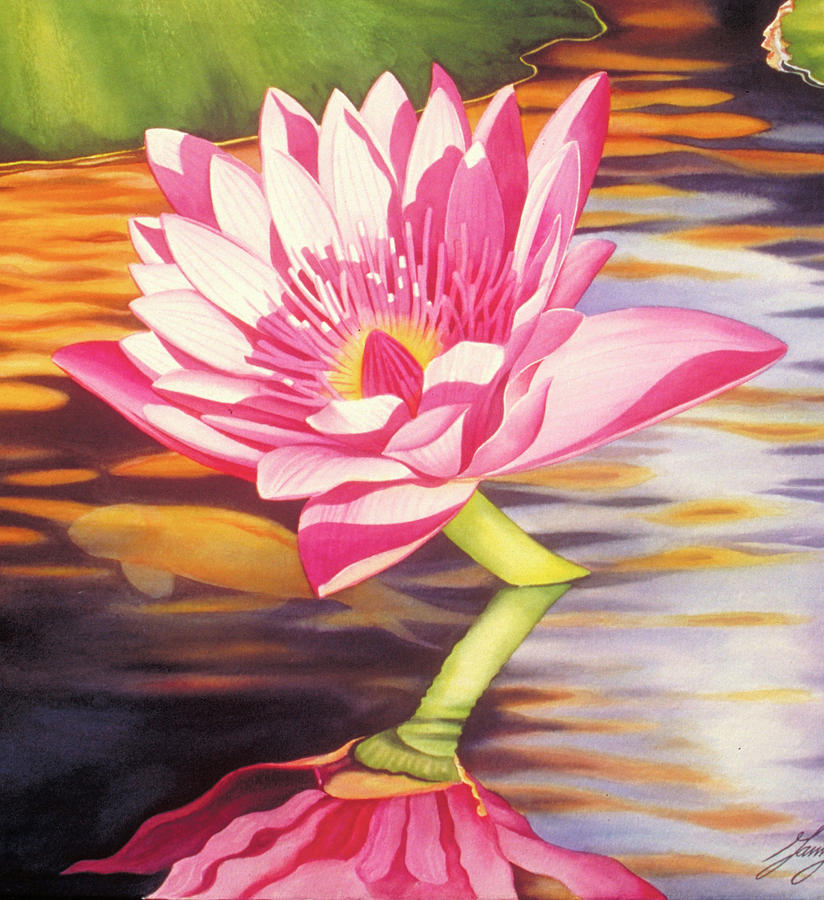 Sunrise Painting - Pink Waterlily by Garry Palm