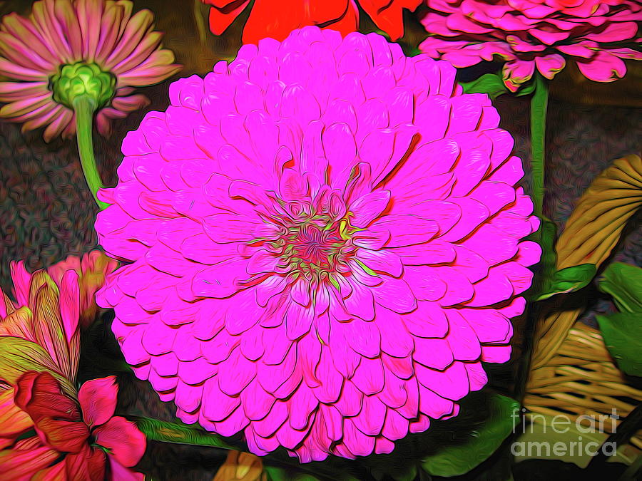 Pink Zinnia with Soft Abstract Effect Photograph by Rose Santuci-Sofranko