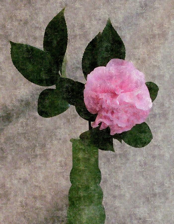 Pinker Rose and Vase Photograph by Kathy Barney