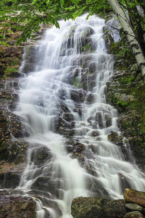 Pinkham Notch Cascade Photograph by White Mountain Images