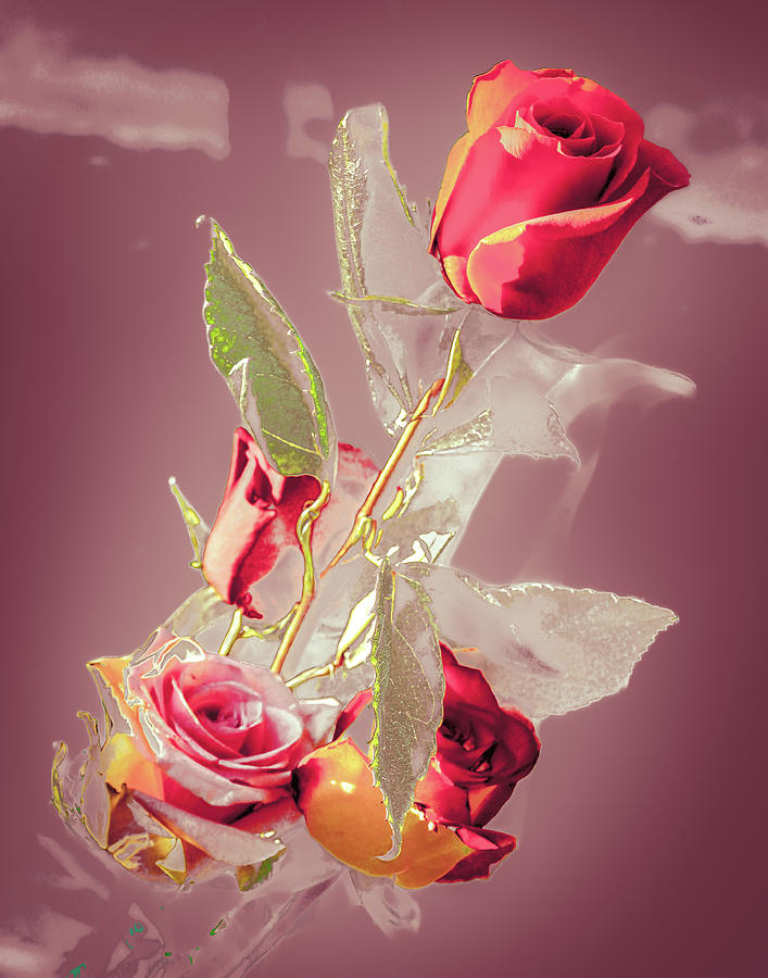 Pinks and Golds Digital Art by W Craig Photography
