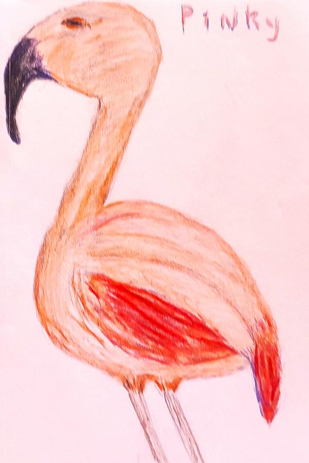 Pinky Tampas Famous Flamingo Drawing by Suzanne Berthier