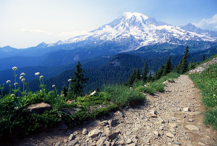 Pinnacle Peak Trail,Mount Rainier National Park Photograph by Natural Selection Dan Sherwood