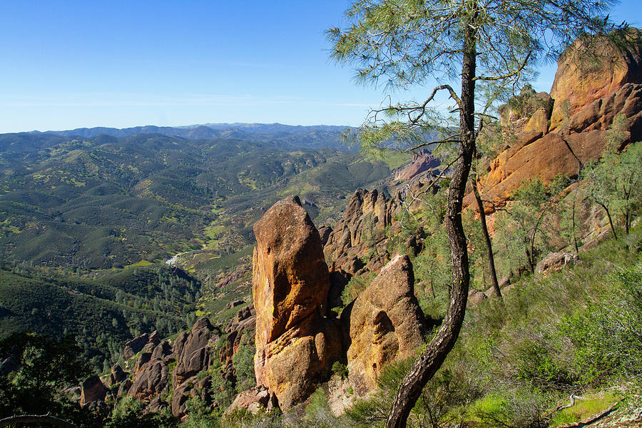 Pinnacles NP from Above Photograph by Mark Miller