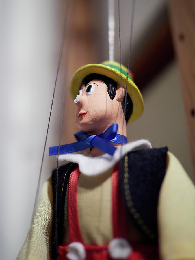 Pinochio without the nose Photograph by Jouko Lehto