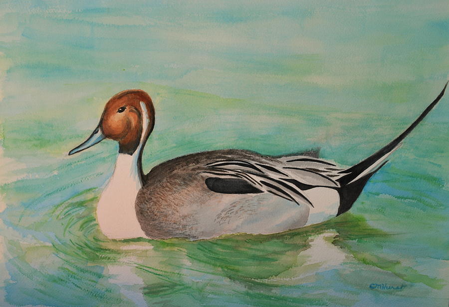 Pintail Painting by Collette Hurst