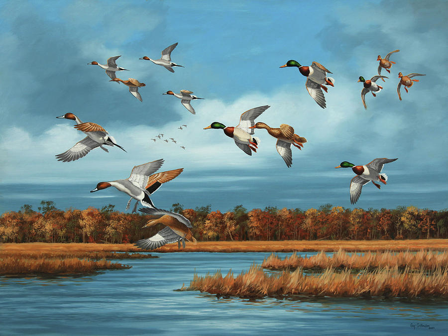 Pintails and Greenheads Painting by Guy Crittenden