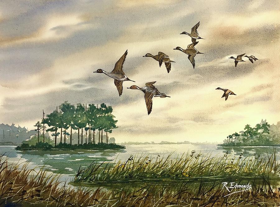 Pintails Settling In For Night Painting