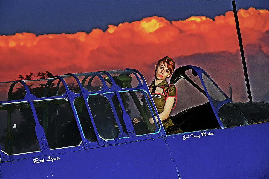 Pinup and Planes #10 Photograph by Steve Templeton