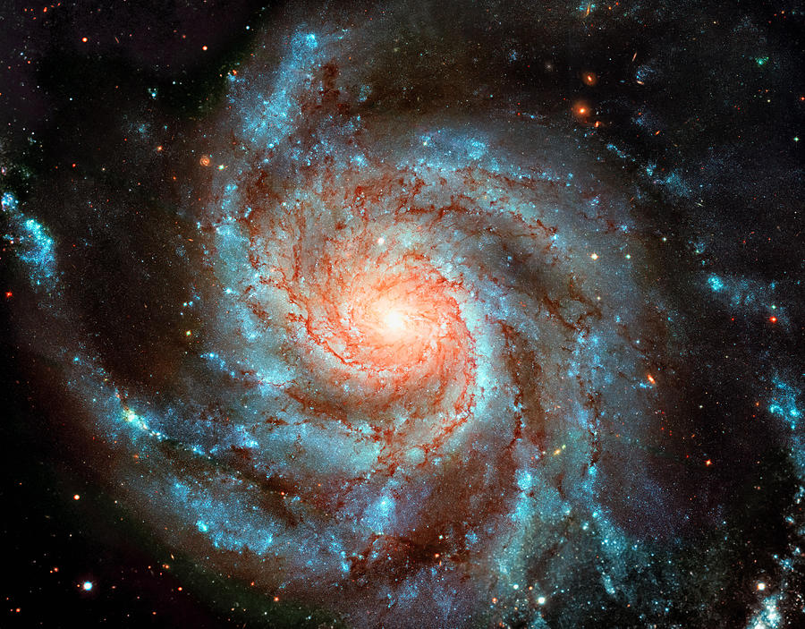 Pinwheel Galaxy Photograph