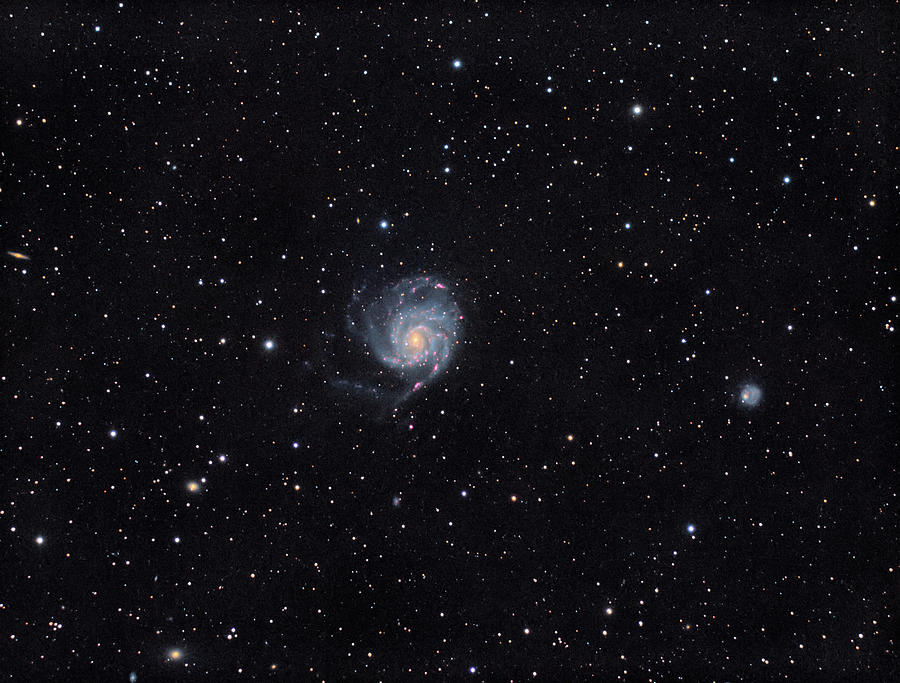 Pinwheel Galaxy Photograph by Ralf Rohner