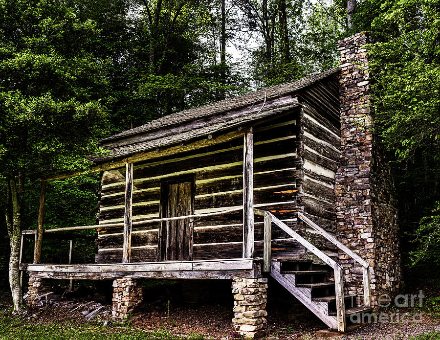 Pioneer Cabin Photograph by Nick Zelinsky Jr