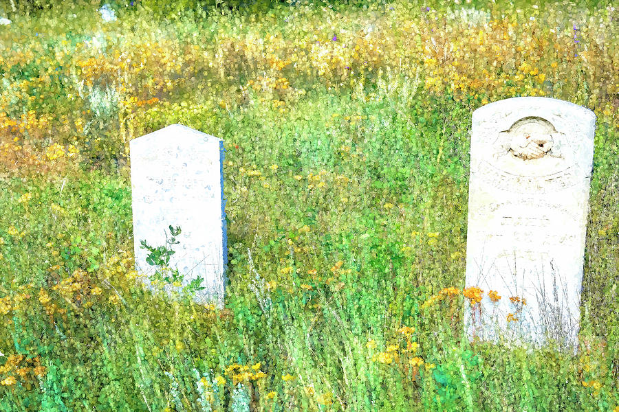 Pioneer Cemetery Central City Colorado 821 Digital Art by Cathy Anderson