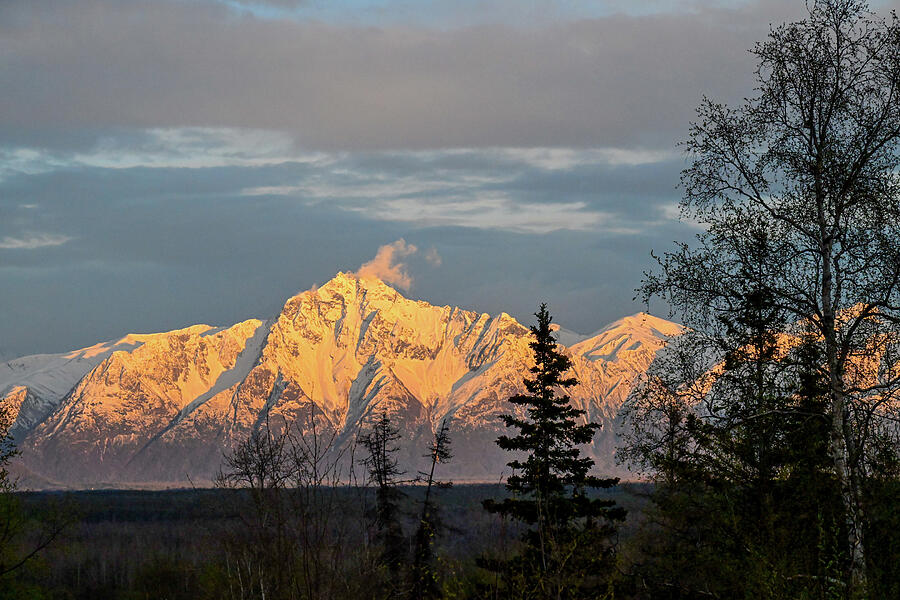 Pioneer Peak Glowing Photograph by Harry Banks Pioneer Peak Glowing Photograph by Harry Banks