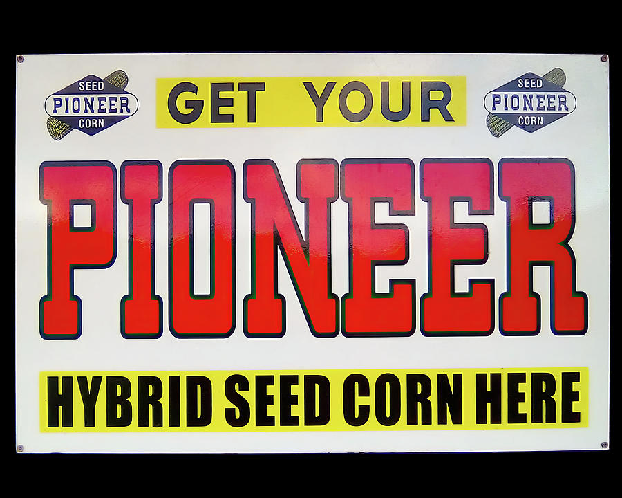 Pioneer Seed vintage sign Photograph by Flees Photos
