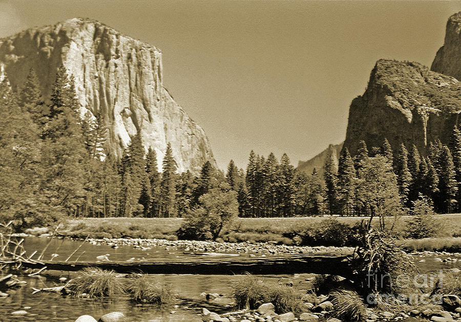 Pioneering Yosemite Photograph by Lydia Holly