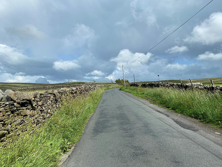 https://images.fineartamerica.com/images/artworkimages/mediumlarge/3/piper-lane-near-cowling-uk-derek-oldfield.jpg