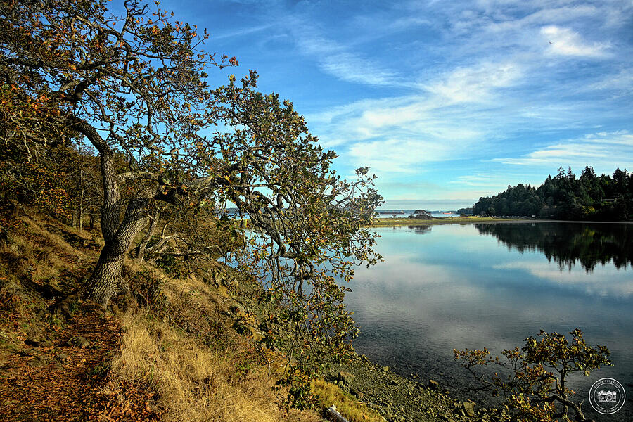 Piper's Lagoon Park - Nanaimo Photograph by Sonja Peterson Photography ...