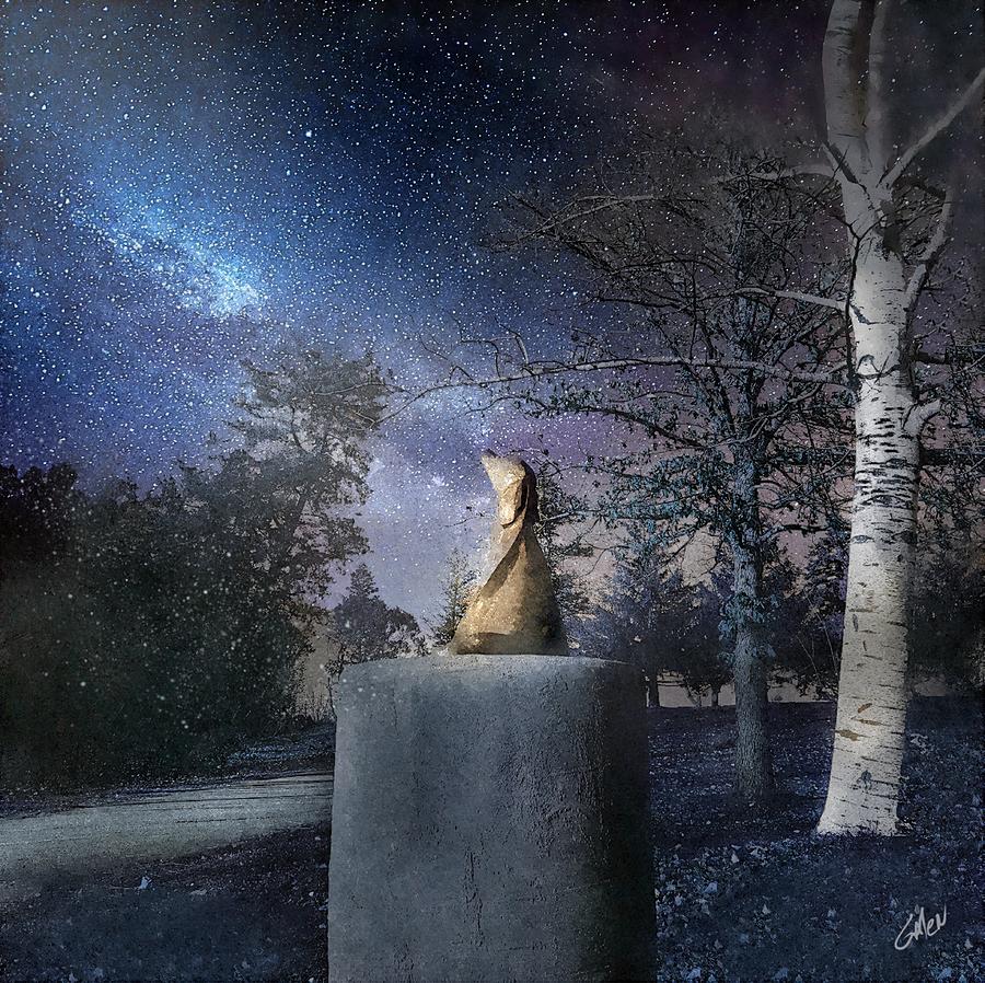 Pippin In The Moonlight Digital Art by Glenn Galen
