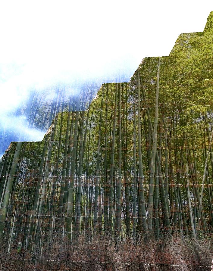 Piramide del Bosque by Kimberly-Ann Talbert Piramide del Bosque by Kimberly-Ann Talbert