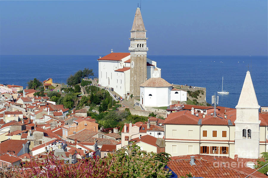Piran Cathedral - The Church of St George Photograph by Phil Banks