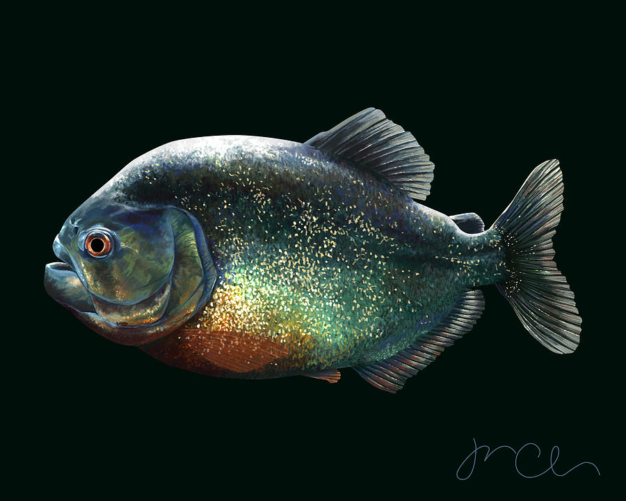 Fish Painting - Piranha by Jennifer Clausen Fish Painting - Piranha by Jennifer Clausen