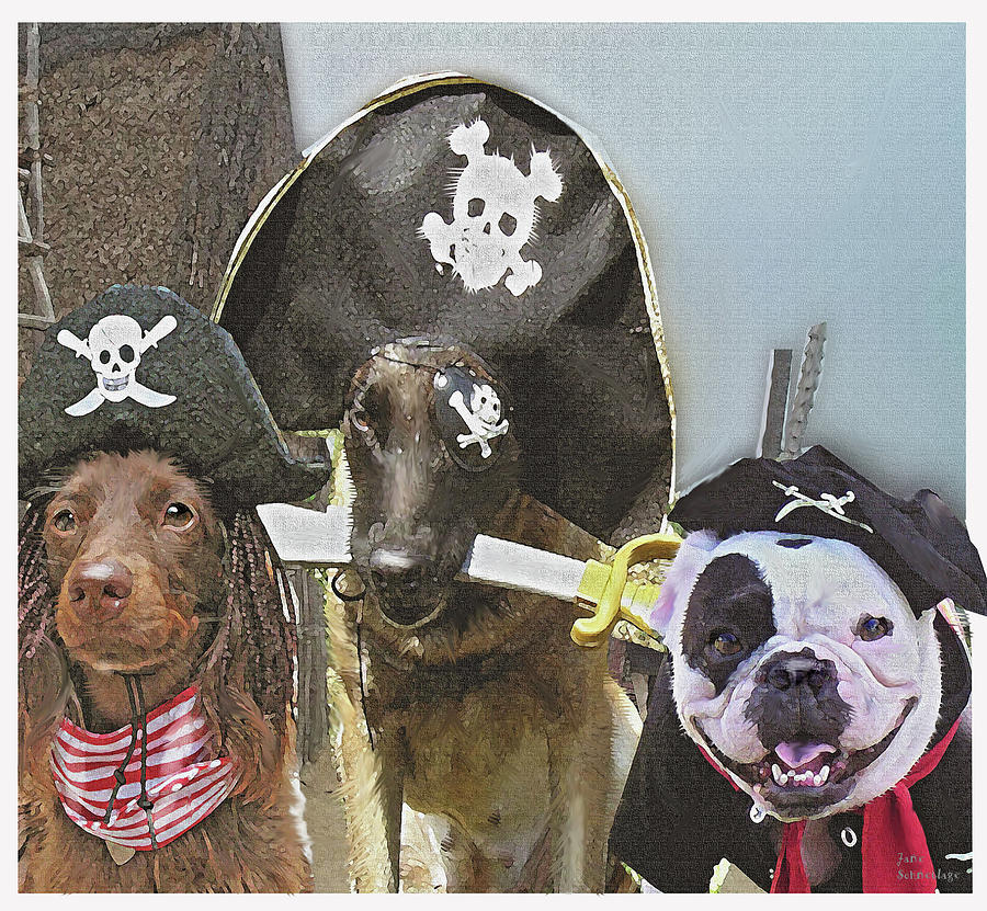 Pirate Dogs 2 Painting by Jane Schnetlage