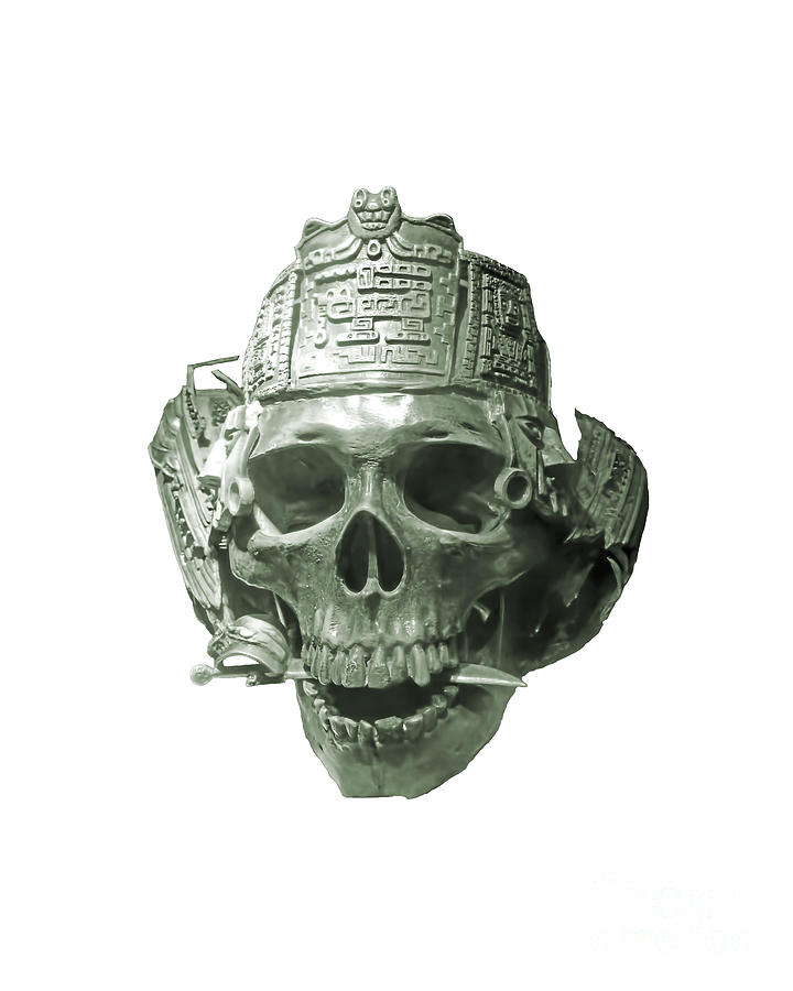 Pirate Skull and Dagger Transparent Background Photograph by D Hackett