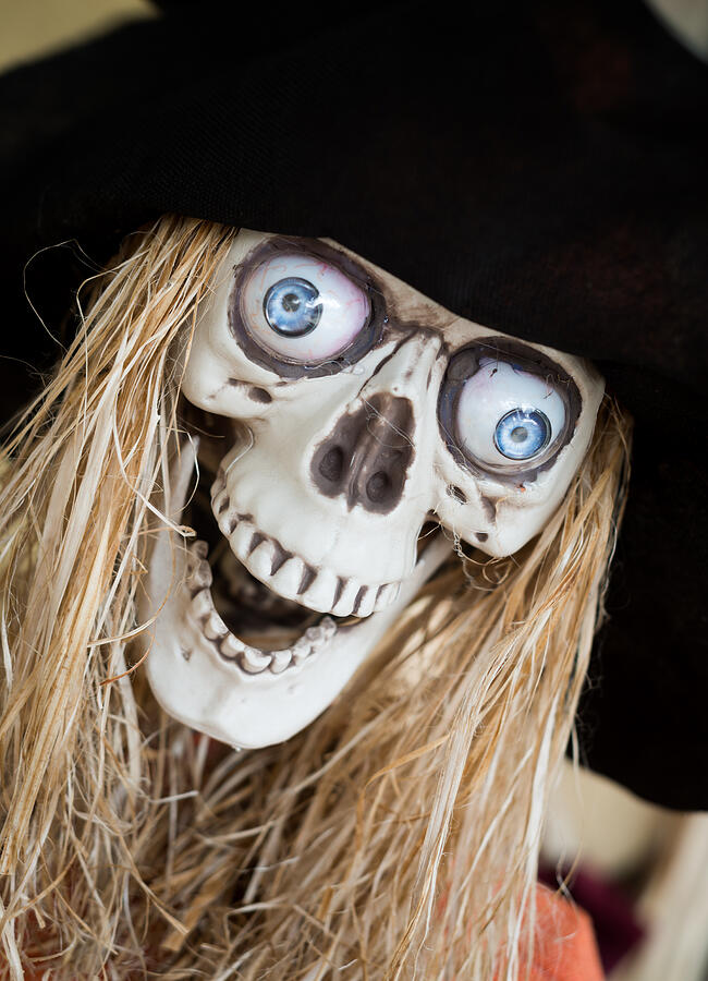 Pirate Skull with Eyes and Straw hair Photograph by Lokibaho