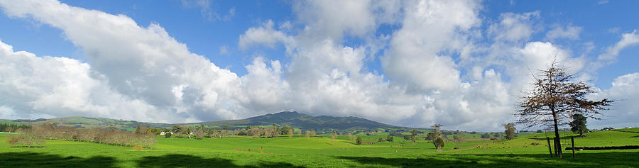 Pirongia Mountain New Zealand Photograph by David L Moore