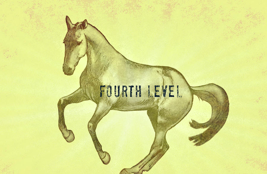 Pirouette Fourth Level Photograph by Dressage Design