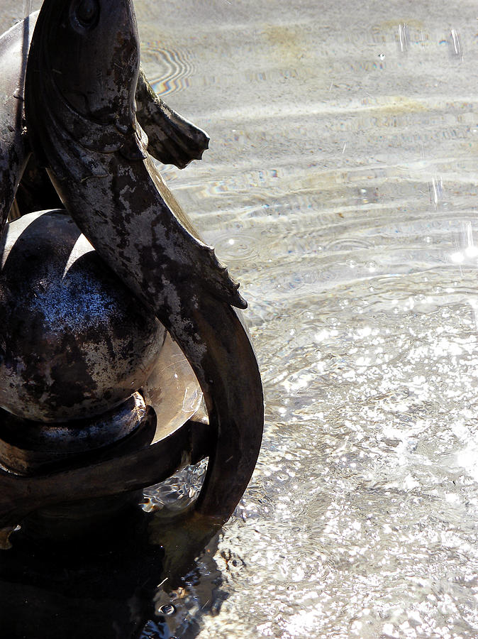 Fountain Photograph - Pisces by Nicki Hoffman Fountain Photograph - Pisces by Nicki Hoffman