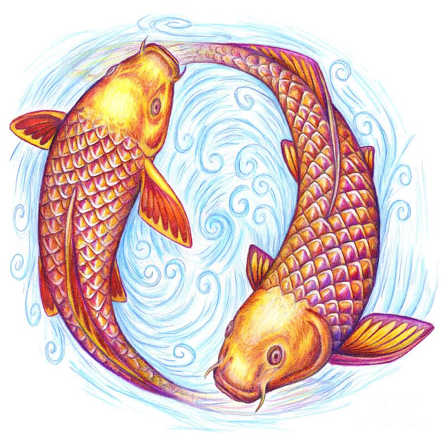 Pisces Drawing by Rebecca Wang